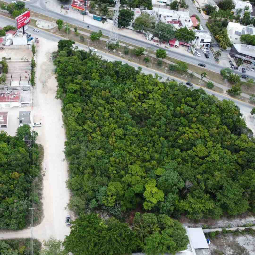 TERRENO EN VENTA EN AV. ÁLAMOS, CANCÚN